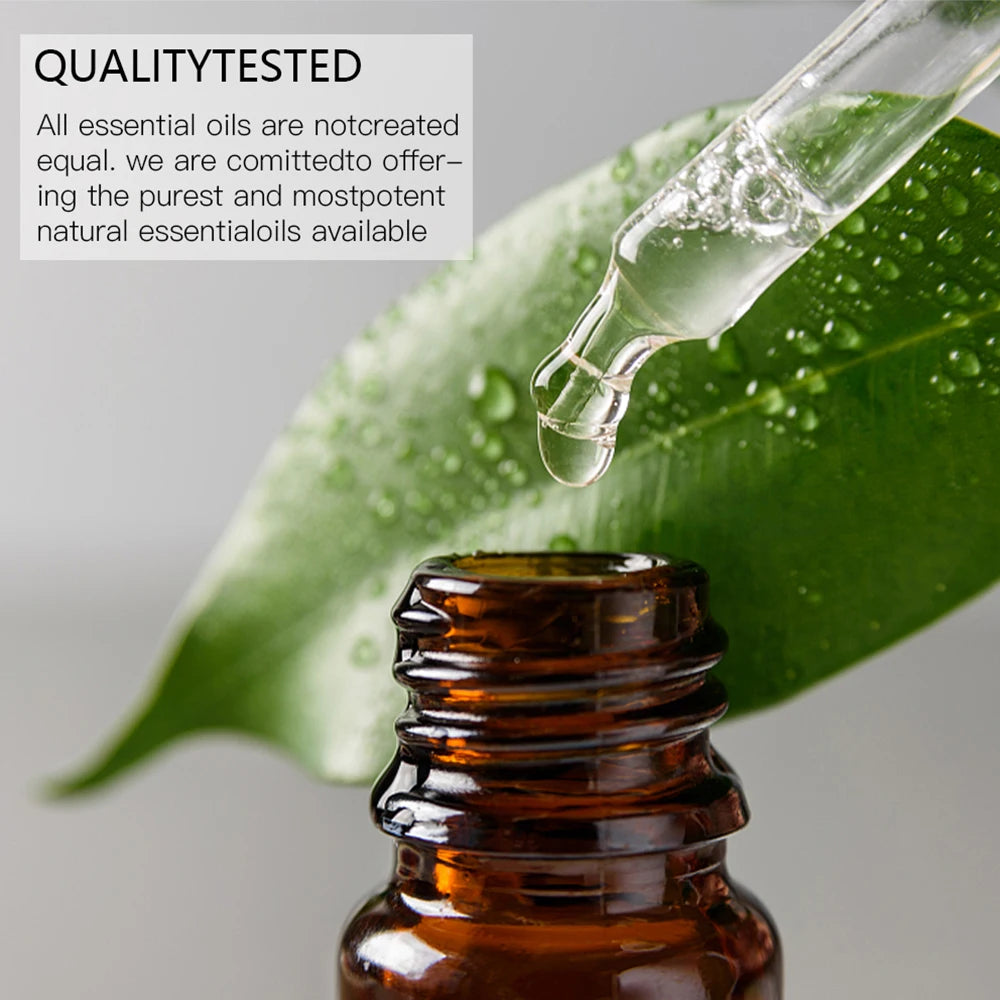 3-in-1 Aromatherapie-Ölset – Entspannung, Energie & Harmonie in jedem Tropfen